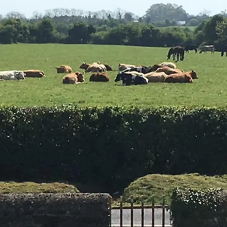 The Loft, Duffys Of Ballybin 4-star