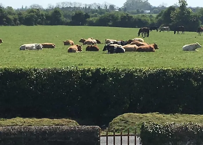 The Loft, Duffys Of Ballybin 4-star