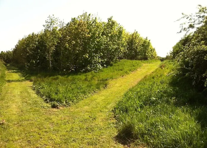 The Loft, Duffys Of Ballybin 4-star * 애쉬본